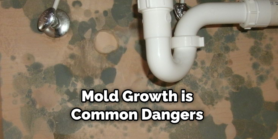 Mold Growth is Common Dangers