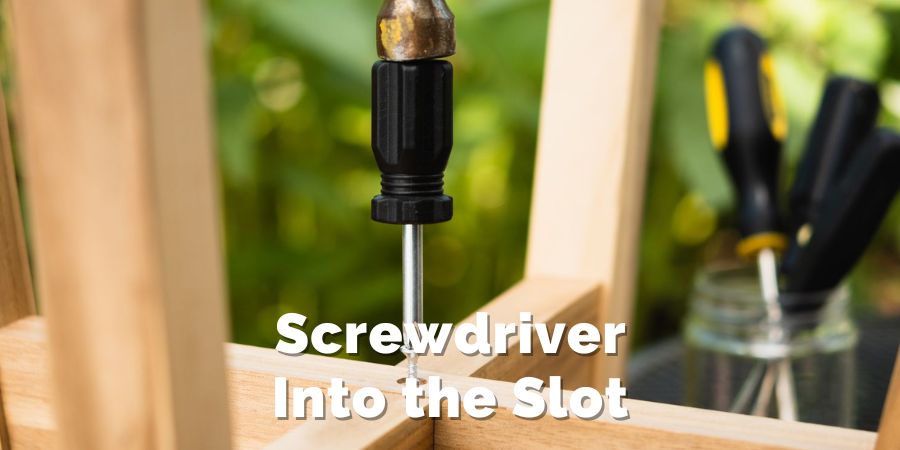 Screwdriver Into the Slot