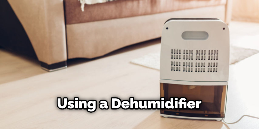 Using a Dehumidifier