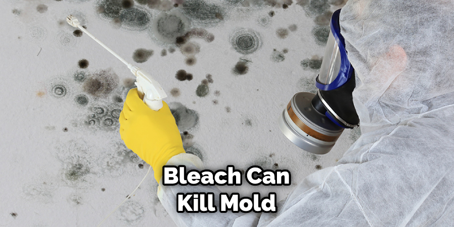 Bleach Can Kill Mold