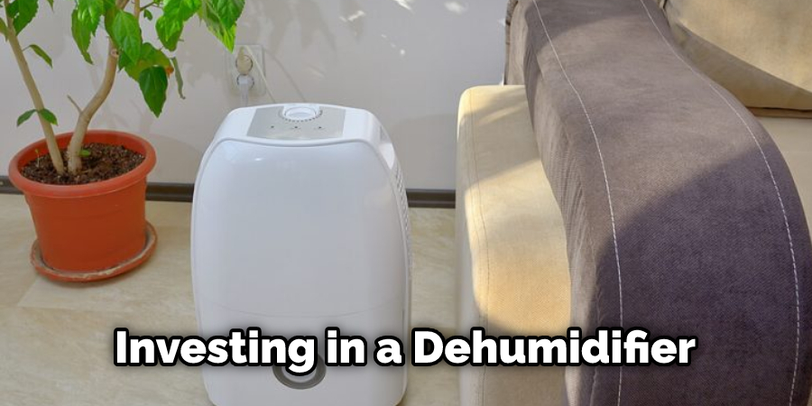 Investing in a Dehumidifier