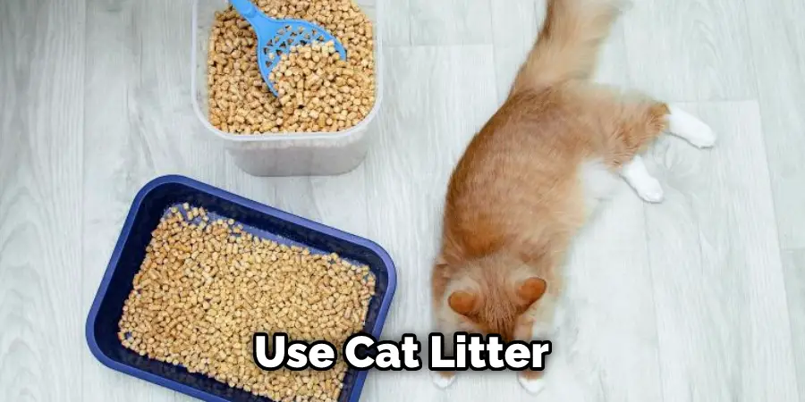 Use Cat Litter