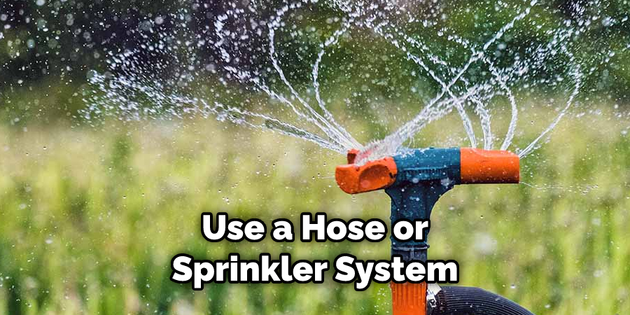 Use a Hose or Sprinkler System