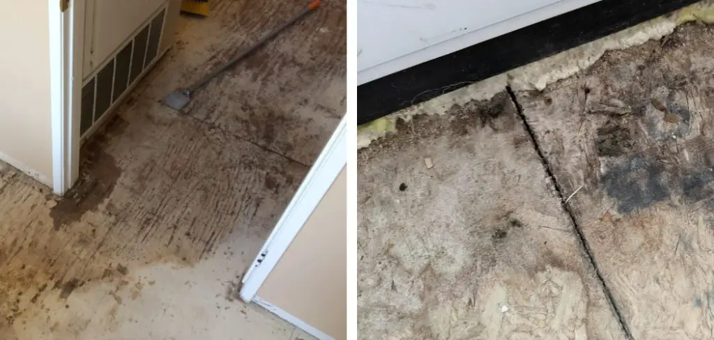 How to Fix Water Damaged Subfloor