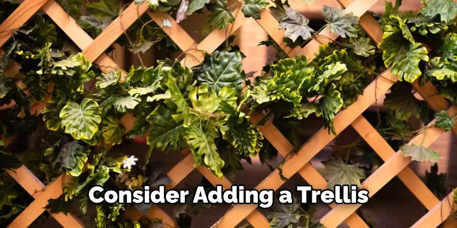 Consider Adding a Trellis 