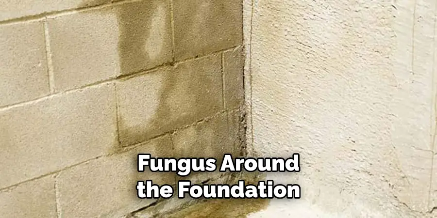 Fungus Around the Foundation