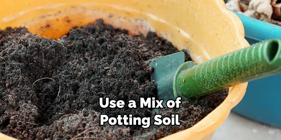 Use a Mix of Potting Soil