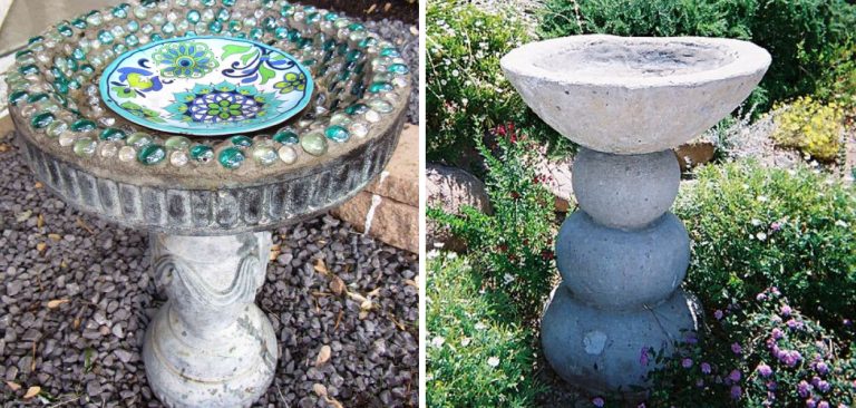 How to Make a Cement Bird Bath | 5 Helpful Processes (2025)