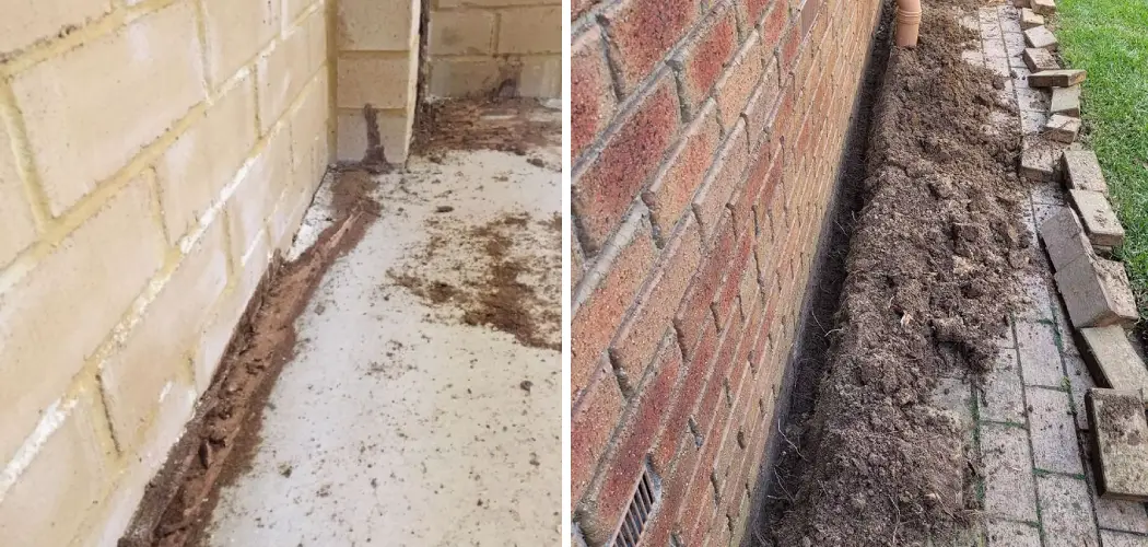 How to Treat Termites in Brick Walls