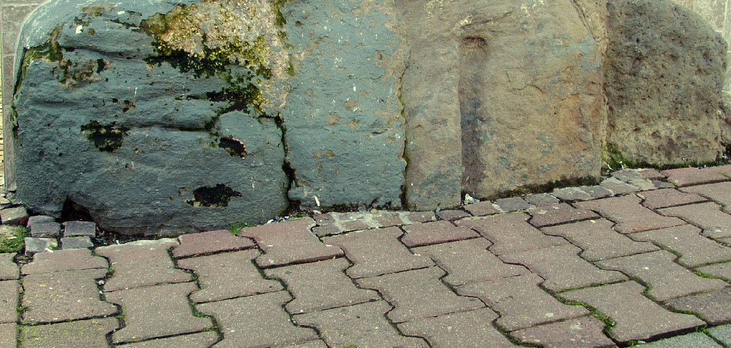 How to Install Threshold on Concrete | 8 Easy Step (2026) - Exposed Concrete Threshold Design