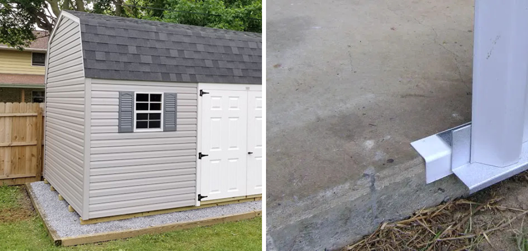 How to Build a Rodent Proof Shed | 10 Easy Steps (2026)