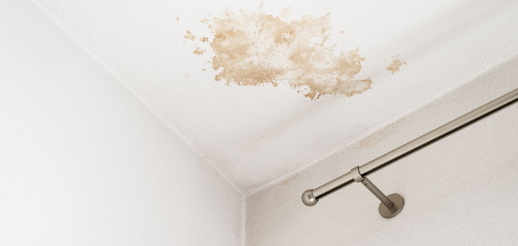 How to Fix Nail Pops in Ceiling | 7 Easy Steps (2026)