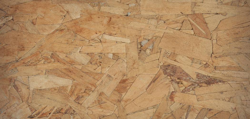 How to Paint OSB Walls | 7 Easy Steps (2026)