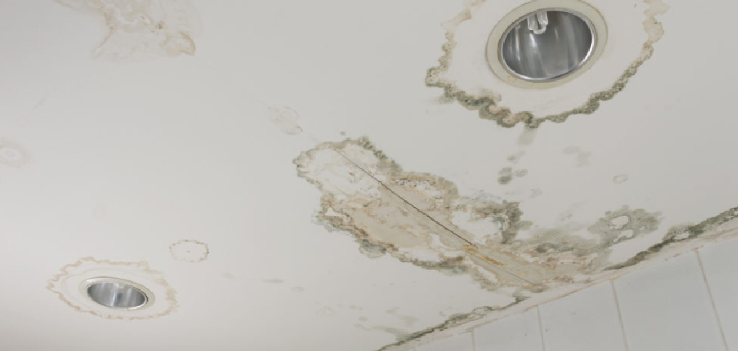 How to Repair Cracks in Plaster Ceiling | 8 Easy Steps (2026)